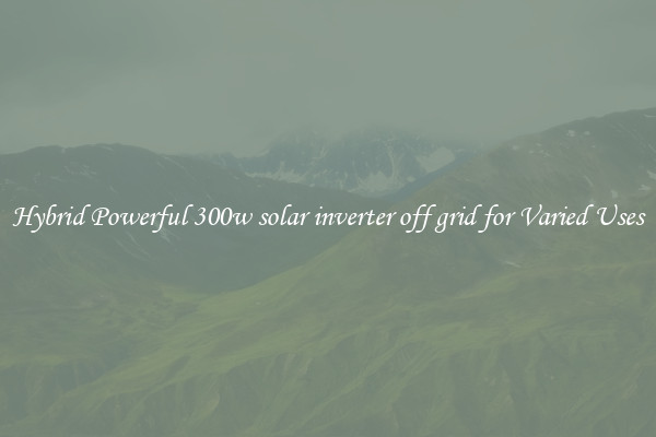 Hybrid Powerful 300w solar inverter off grid for Varied Uses
