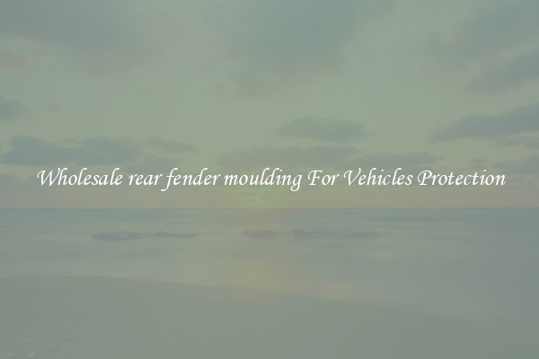 Wholesale rear fender moulding For Vehicles Protection