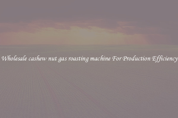 Wholesale cashew nut gas roasting machine For Production Efficiency