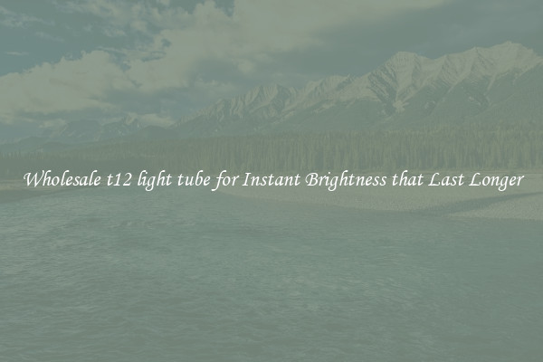 Wholesale t12 light tube for Instant Brightness that Last Longer