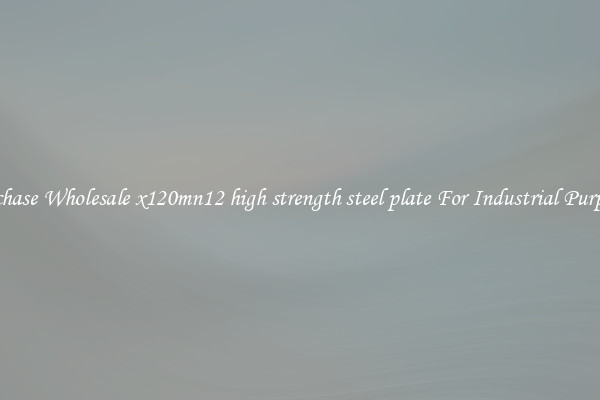 Purchase Wholesale x120mn12 high strength steel plate For Industrial Purposes