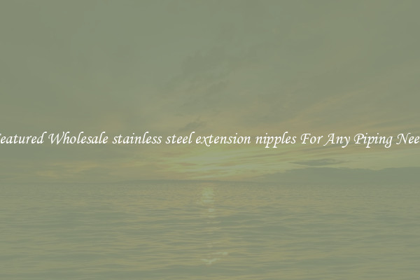 Featured Wholesale stainless steel extension nipples For Any Piping Needs