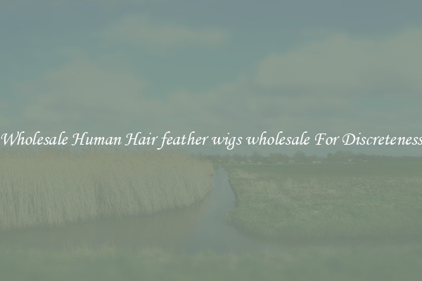 Wholesale Human Hair feather wigs wholesale For Discreteness