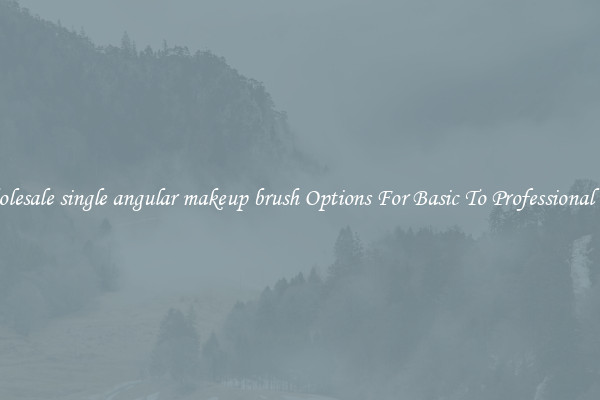 Wholesale single angular makeup brush Options For Basic To Professional Use