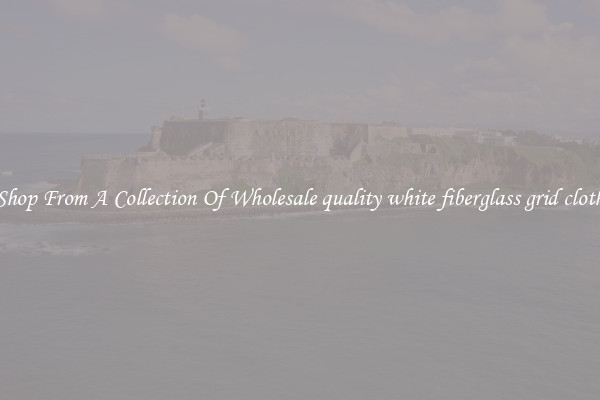 Shop From A Collection Of Wholesale quality white fiberglass grid cloth