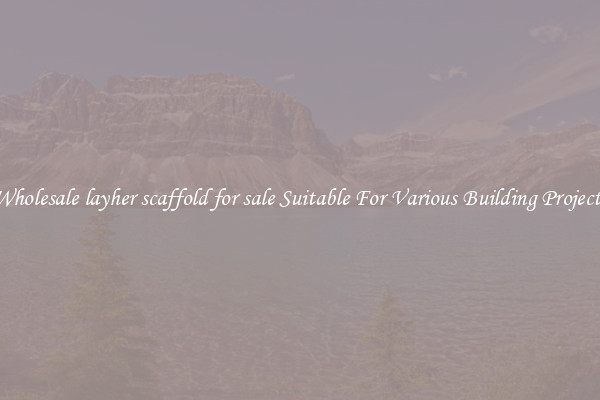 Wholesale layher scaffold for sale Suitable For Various Building Projects
