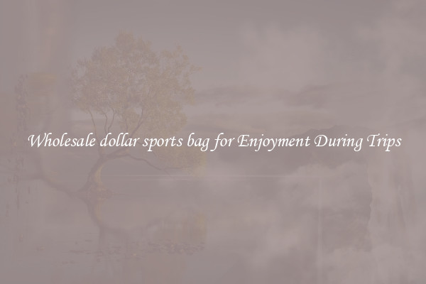 Wholesale dollar sports bag for Enjoyment During Trips
