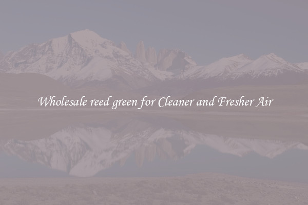 Wholesale reed green for Cleaner and Fresher Air