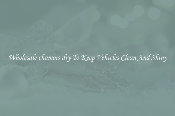 Wholesale chamois dry To Keep Vehicles Clean And Shiny