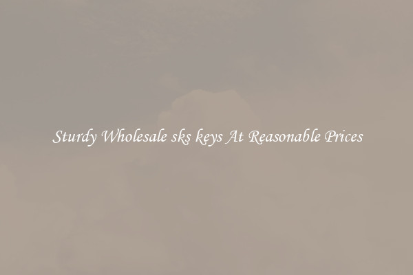 Sturdy Wholesale sks keys At Reasonable Prices