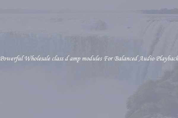 Powerful Wholesale class d amp modules For Balanced Audio Playback