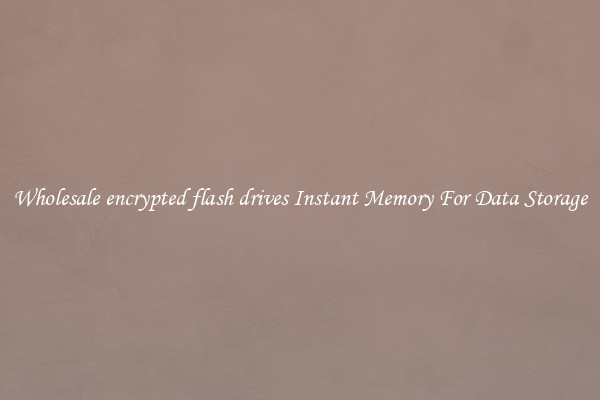 Wholesale encrypted flash drives Instant Memory For Data Storage