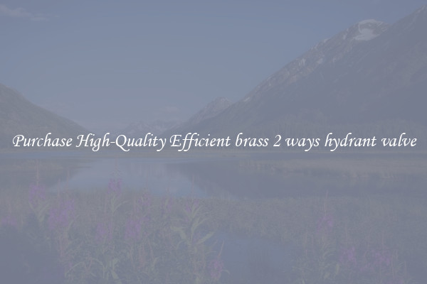 Purchase High-Quality Efficient brass 2 ways hydrant valve