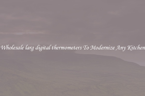 Wholesale larg digital thermometers To Modernize Any Kitchen