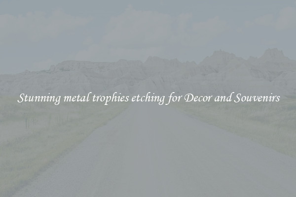 Stunning metal trophies etching for Decor and Souvenirs