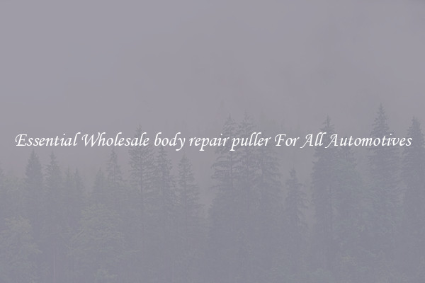 Essential Wholesale body repair puller For All Automotives
