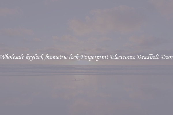 Wholesale keylock biometric lock Fingerprint Electronic Deadbolt Door 