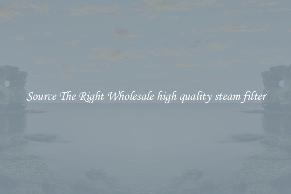 Source The Right Wholesale high quality steam filter